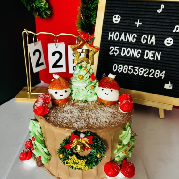 MẪU BÁNH GIÁNG SINH 011