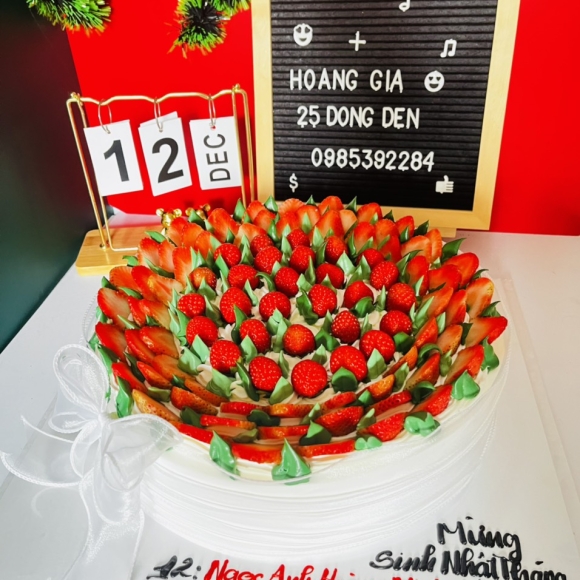 MẪU BÁNH GIÁNG SINH 013