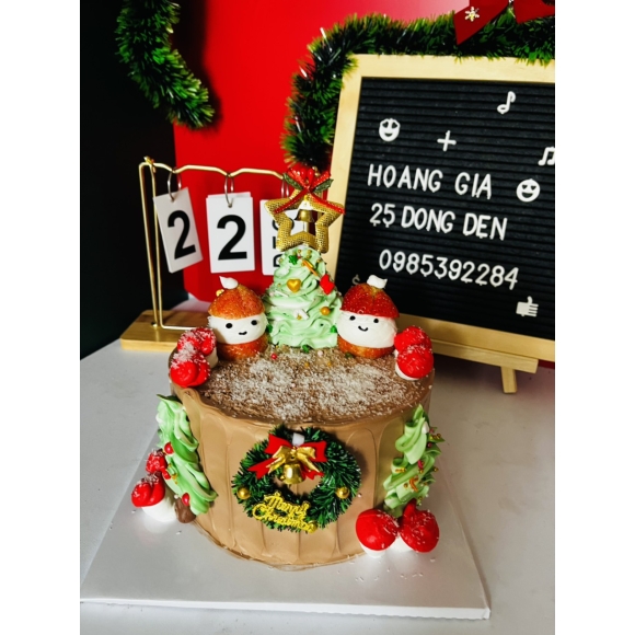 MẪU BÁNH GIÁNG SINH 011